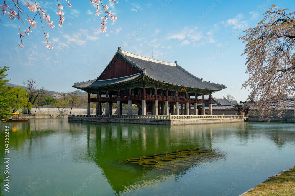 Gyeongbokgung Palace with cherry blossom or call sakura in spring with blue sky and clouds at Seoul city, South Korea.