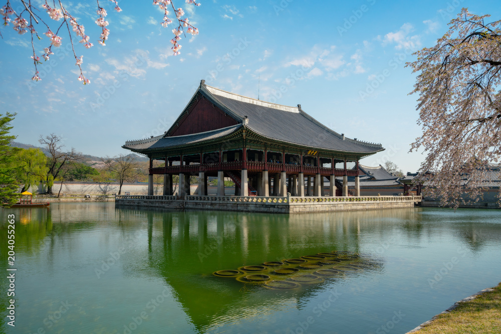Gyeongbokgung Palace with cherry blossom or call sakura in spring with blue sky and clouds at Seoul city, South Korea. Gyeongbokgung Palace with cherry blossom or call sakura in spring with blue sky and clouds at Seoul city, South Korea.