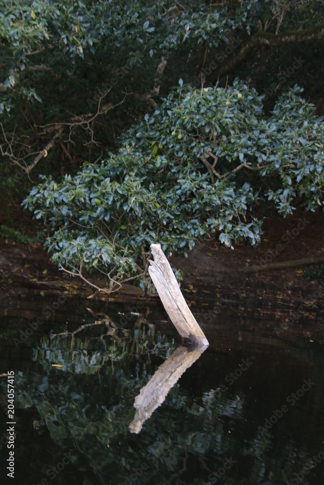 Reflection Reflection