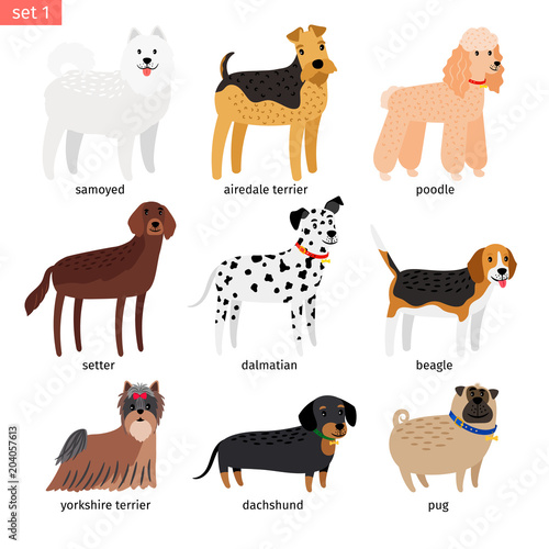 Dog breeds cartoon icon