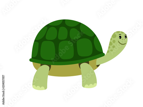 Green cute turtle cartoon icon