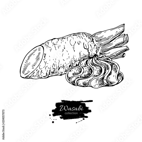 Wasabi root slice with sauce spill vector drawing. Hand drawn sushi ingredient sketch.