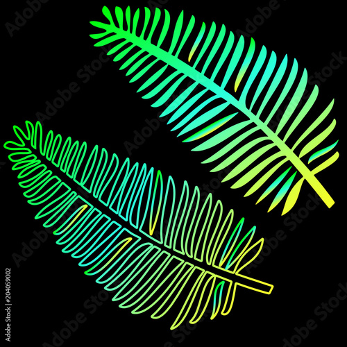 The model of the neon leaves of the fern is an exotic plant. Trend of the sea...