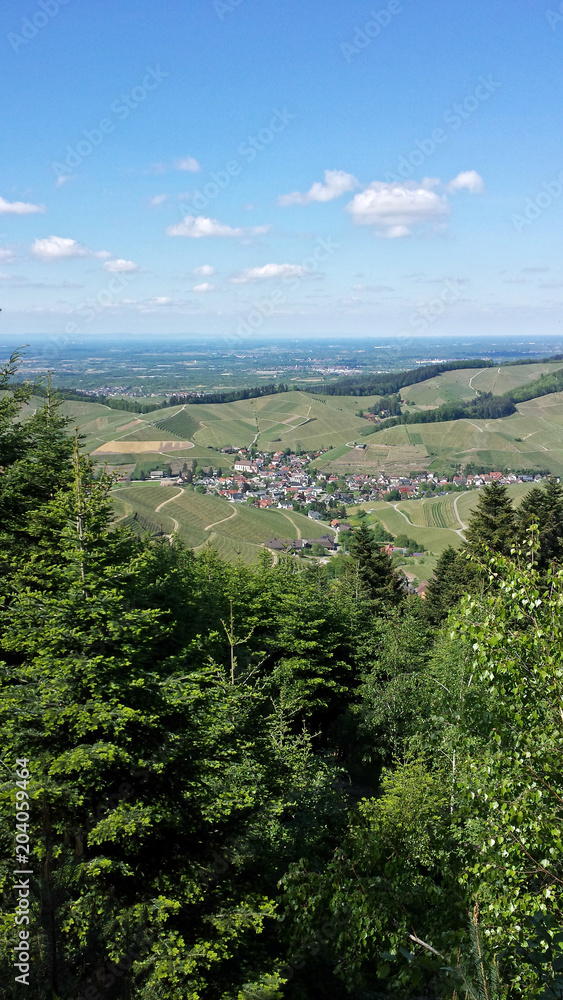 Durbach Frühling