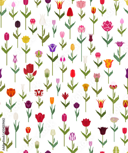 Fototapeta Naklejka Na Ścianę i Meble -  Tulip varieties flat seamless pattern. Garden flower and house plant