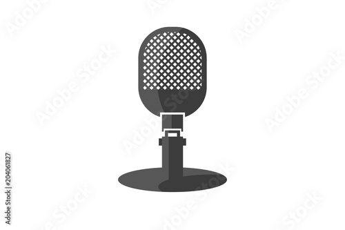 professional microphone.  