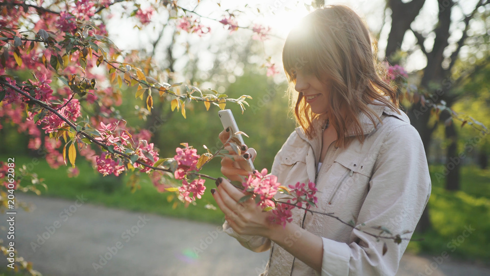 Young attractive red-haired woman taking photos of spring flowers of cherry or sakura blossoms on smartphone at sunset in park 