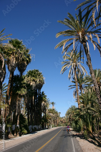 San Ignacio  Baja California Sur  Mexico