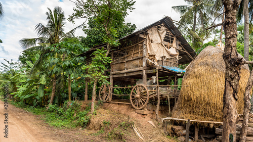 Viehwirtschaft am Mekong photo