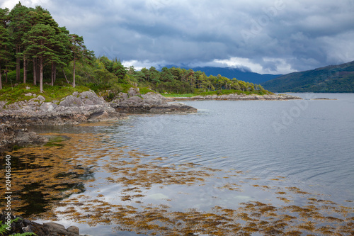 Loch Sunart shore Ardnamurchan peninsula Highland Scotland UK