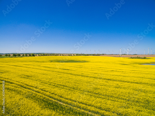 Aerial view of beautiful yellow flowering bright canola rape fields on a sunny day with blue sky