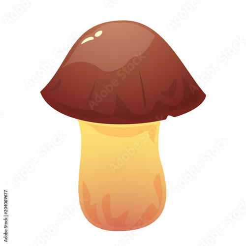 Suillus edible mushroom, vector illustration