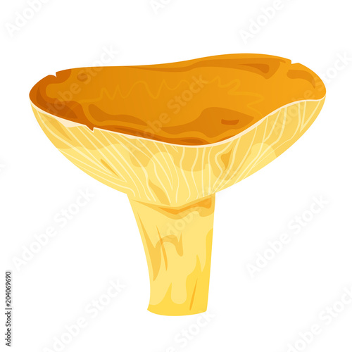 Lactarius edible mushroom, vector illustration