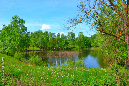 Fototapeta Naklejka Na Ścianę i Meble -  Forest lake in spring