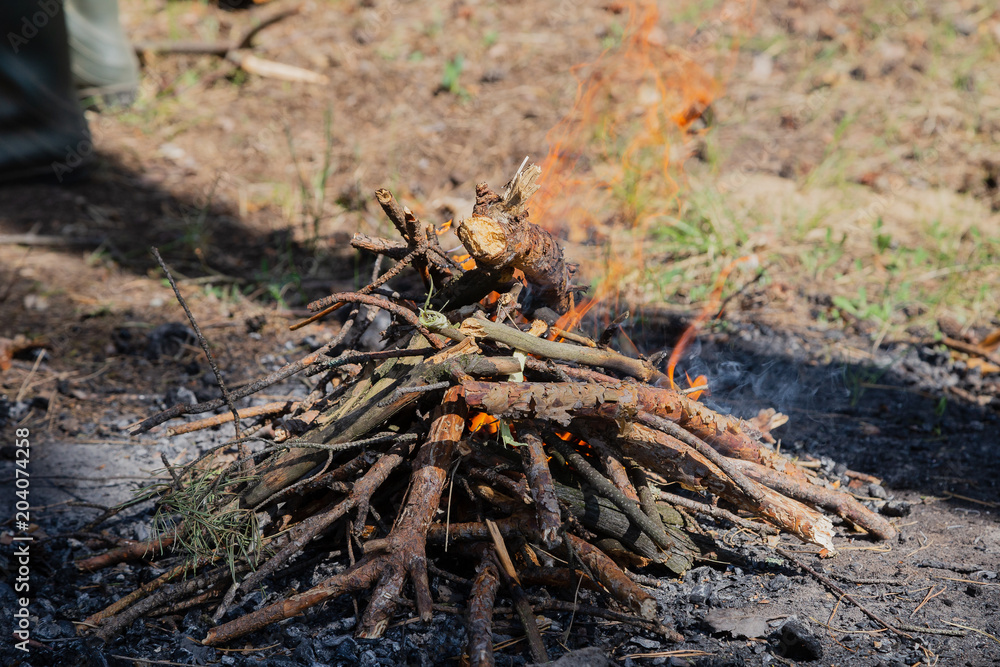 The fire burns in the forest on a bright day The fire burns in the forest on a bright day