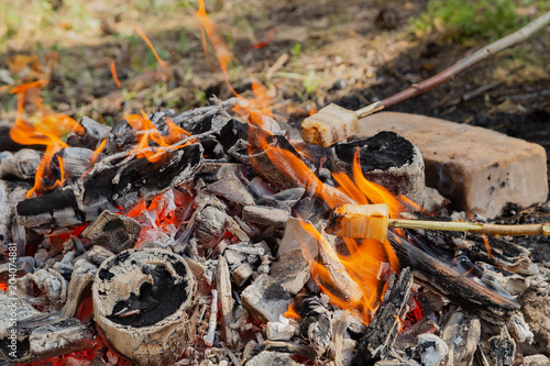 Fry bacon on a stake. Bacon fry on fire. Fat fry in the countryside. Camping in the forest.