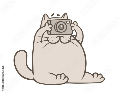 cute gray cat with camera. vector illustration