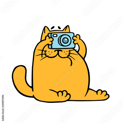Cartoon orange cat with camera is taking pictures. Vector illustration