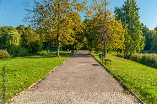 alejka w parku w Białowieży