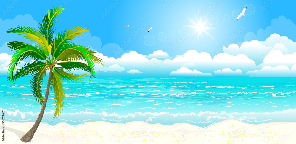 The tropical coast, Palm tree against the sky, the sea and the sun