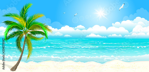 The tropical coast, Palm tree against the sky, the sea and the sun