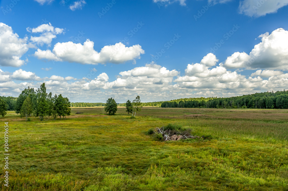 Niedawno Byłeś Z Rodzicami W Parku Narodowym łąka w Białowieskim Parku Narodowym Stock Photo | Adobe Stock