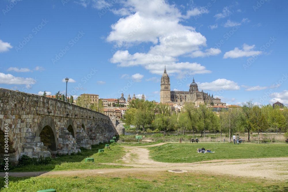 Puente romano  y Catedrales de Salamanca desde la orilla del rio Tormes 