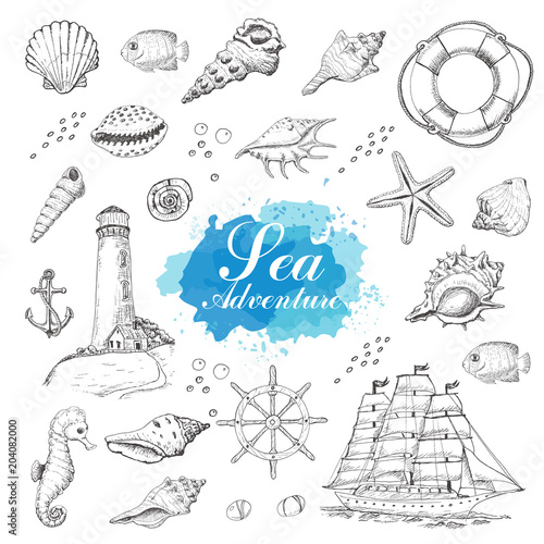 Isolated sea objects on a white background. Shells, starfish, anchor, lighthouse, fish, ship