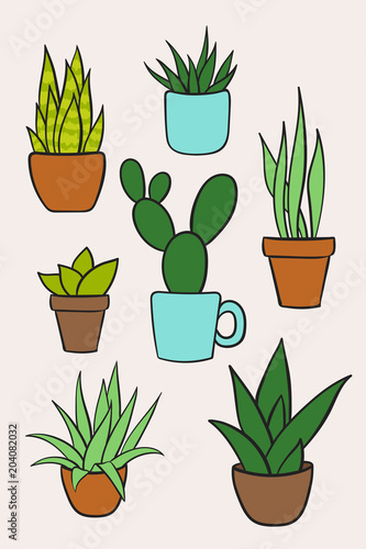 Set vector of houseplants in pots. Hand drawn cartoon collection of house plants
