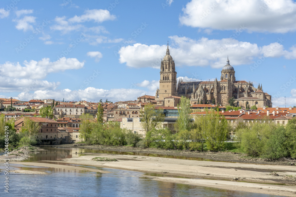 Catedrales de Salamanca desde la orilla del rio Tormes 