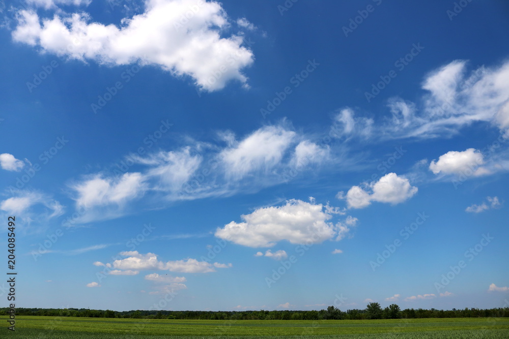 Countryside landscape -green field in spring Countryside landscape -green field in spring