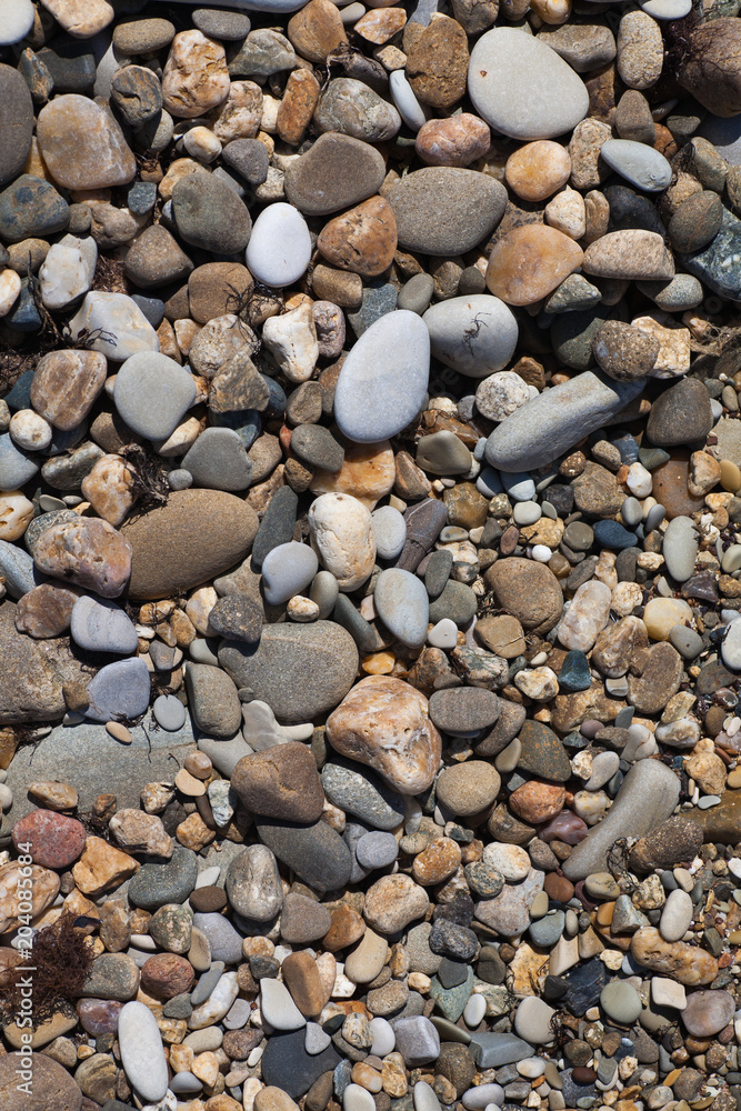 Sea shells, corals, pebble stones for background Sea shells, corals, pebble stones for background
