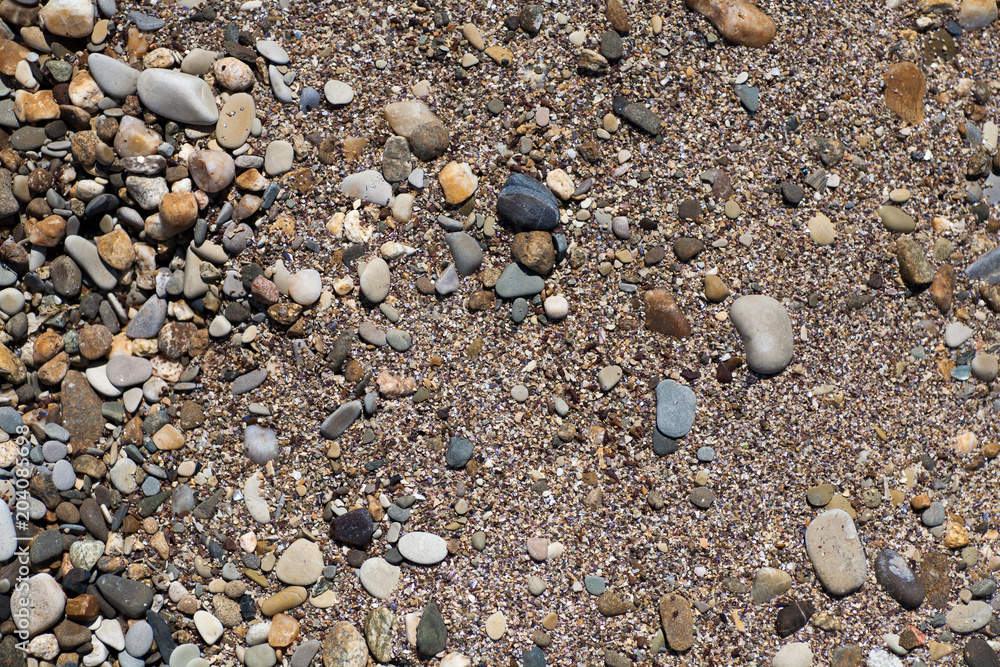 Sea shells, corals, pebble stones for background Sea shells, corals, pebble stones for background