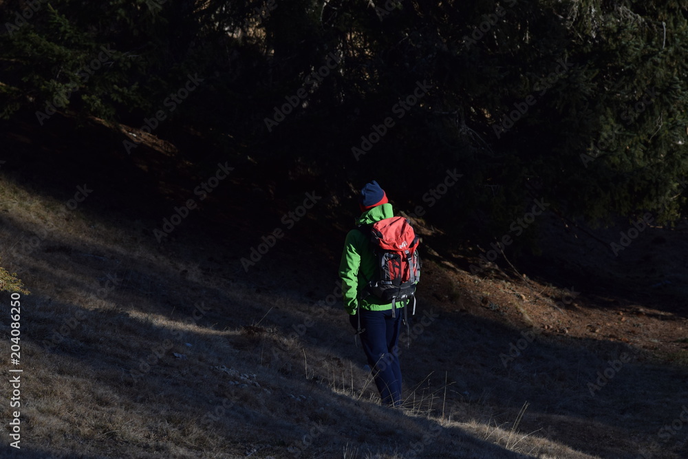 Obraz premium ascoltando il bosco