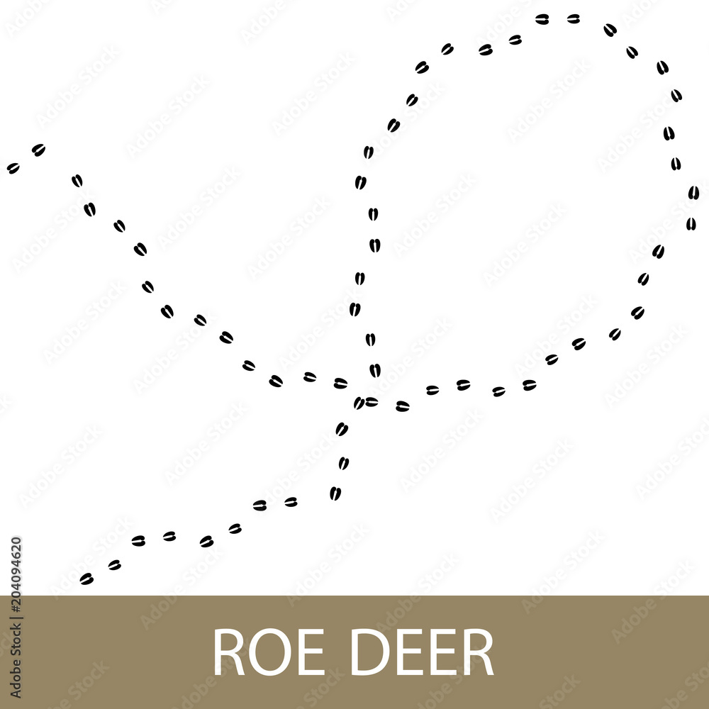 Footprints of Forest Animal, Traces of a Roe Deer , Vector Illustration Footprints of Forest Animal, Traces of a Roe Deer , Vector Illustration