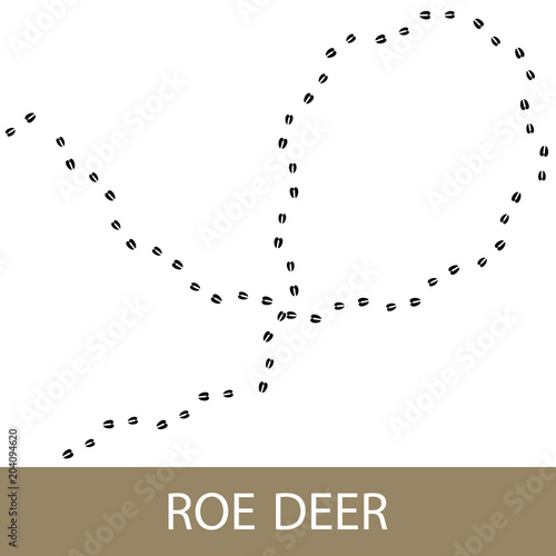 Footprints of Forest Animal, Traces of a Roe Deer , Vector Illustration