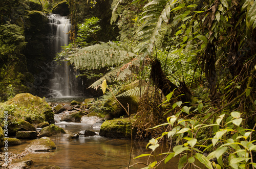 Atlantic forest waterfall located in the southern state of Santa Catarina Brazil