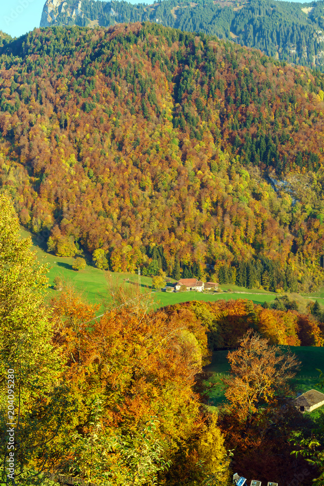 Scenic landscape with autumn forest in the Alps mountains, Gruyeres, Switzerland