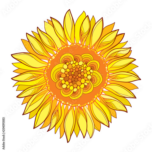 Vector round composition with outline yellow Sunflower or Helianthus flower in yellow isolated on white background. Floral elements in contour style with ornate Sunflower for summer design.