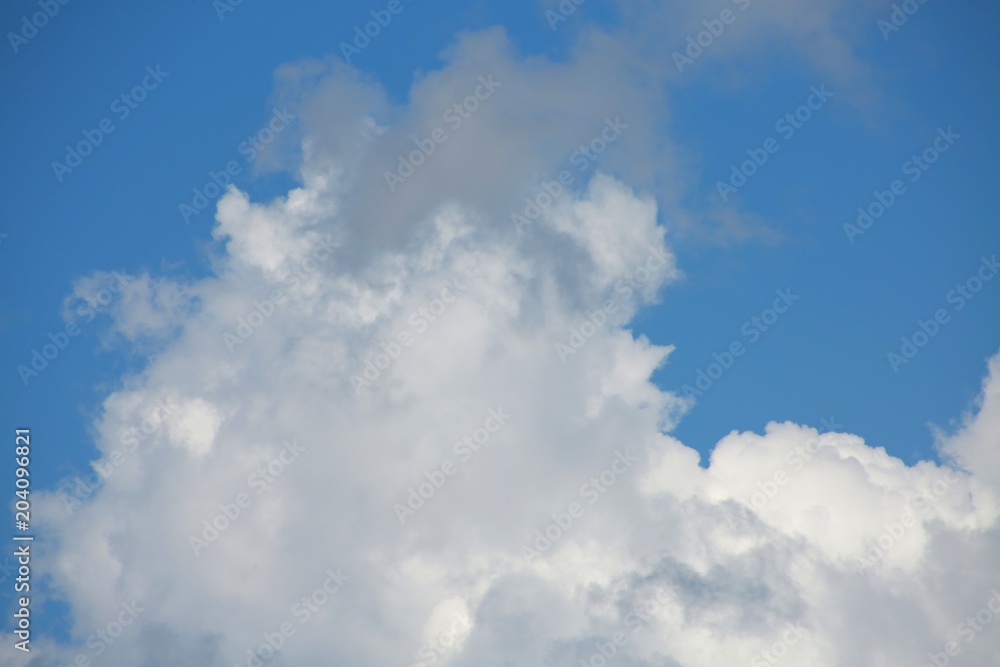 Fluffy Billowy White and Gray Cumulus Clouds in the Blue Summer Sky in Florida Fluffy Billowy White and Gray Cumulus Clouds in the Blue Summer Sky in Florida