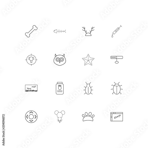 Animals linear thin icons set. Outlined simple vector icons