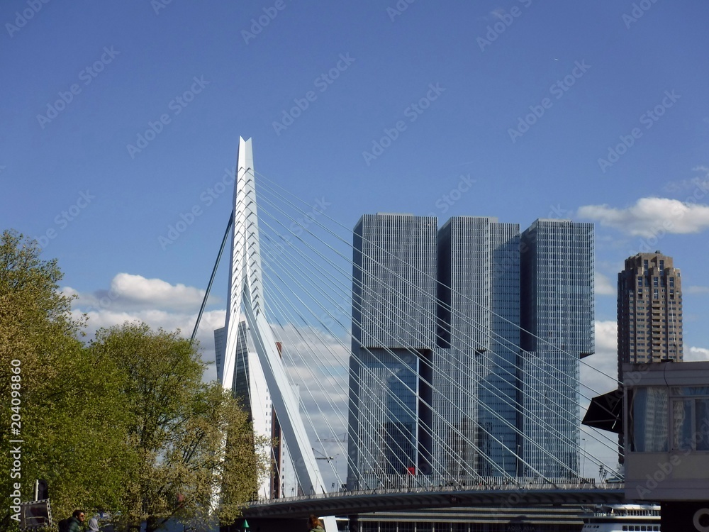 Fototapeta premium Le Cygne, pont Erasmus.