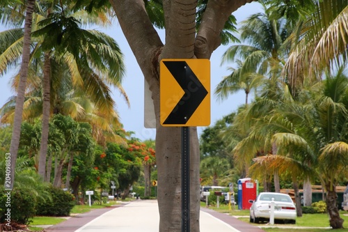 Red and Black Veer Right Sign on Pole in Front of Palm Tree in Boca Raton, Florida photo