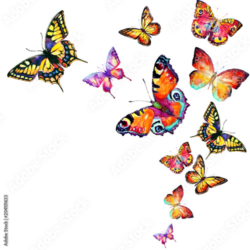 beautiful color butterflies, set, watercolor,  isolated  on a white © aboard