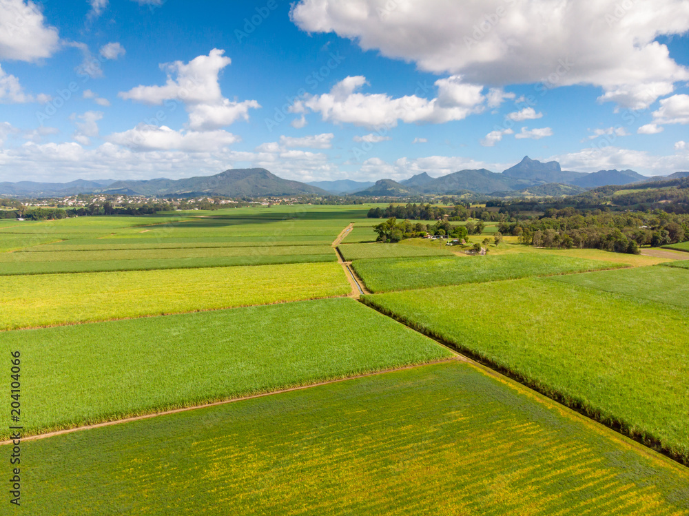 Fototapeta premium Australian Sugarcane Fields and Landscape