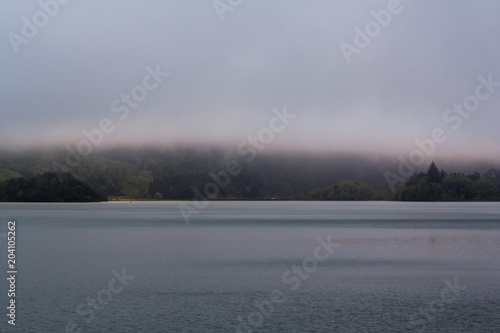 Foggy lake and forest landscape