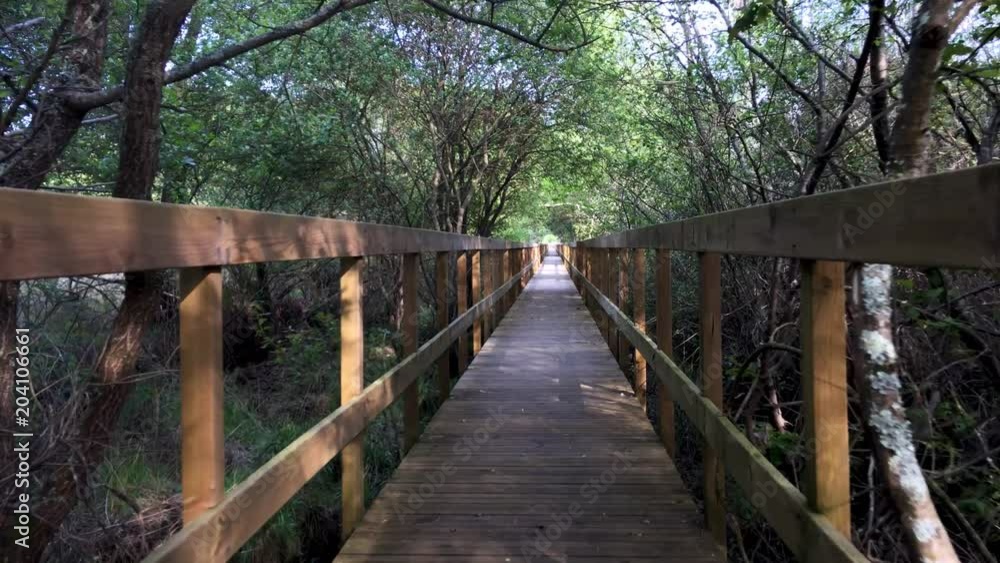 Wooden pathway in Lagoas de Bertiandos natural park, Ponte de Lima - Portugal. Wooden pathway in Lagoas de Bertiandos natural park, Ponte de Lima - Portugal.
