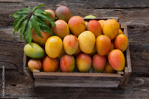 Mango fruits in wooden box with leaf after harvest from farm, Mango fruits with leaf on wood background