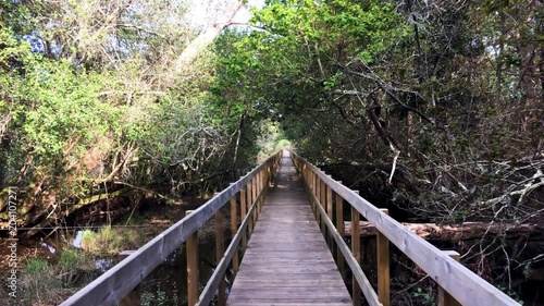 Wooden pathway in Lagoas de Bertiandos natural park, Ponte de Lima - Portugal. photo