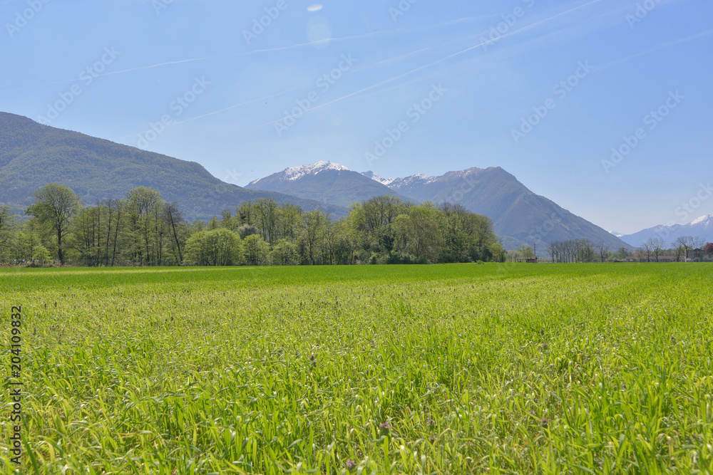 Prato verde in primavera con montagne e cielo blu